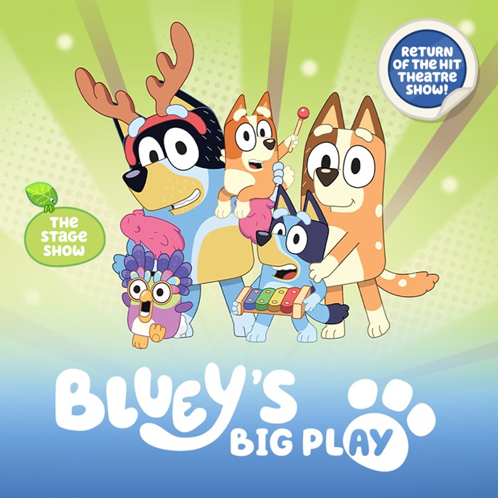 Bluey's Big Play The Stage Show