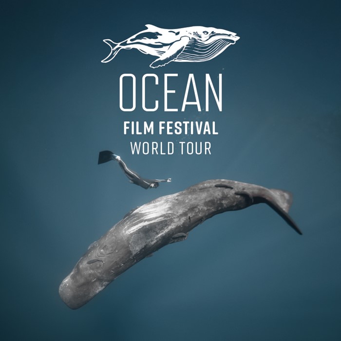 Ocean Film Festival 2025